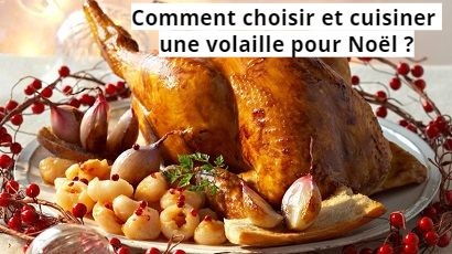 Comment choisir et cuisiner une volaille pour Noël ?