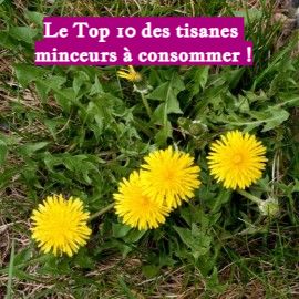 Le Top 10 des tisanes minceurs à consommer !