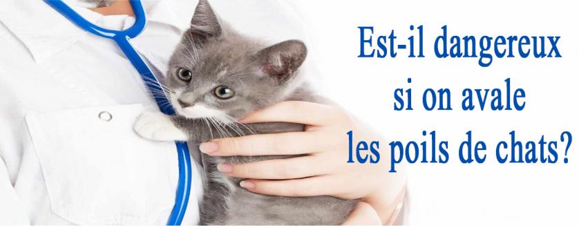 Est-il dangereux si on avale les poils de chats?