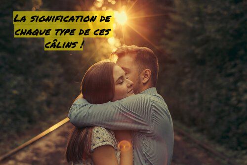 La Signification De Chaque Type De Ces Calins